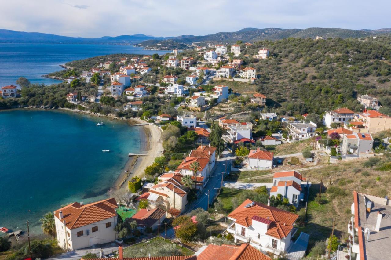 Villa Sea View Volos Eksteriør billede
